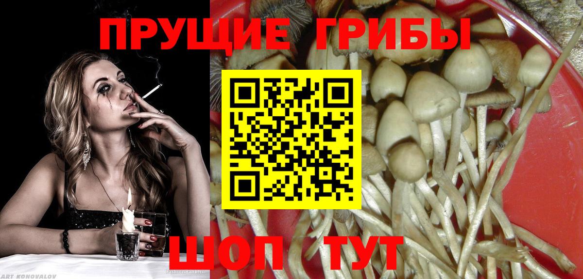 Псилоцибиновые грибы GOLDEN TEACHER Михайловка